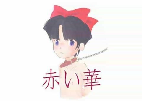 【30%OFF】
                                                                        紅い華の表紙