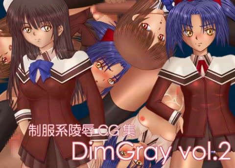 DimGray Vol.2の表紙