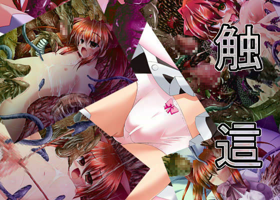 触這