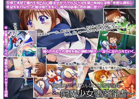 【リリカル 同人】魔法少女リリカルな○は凌辱記録～闘魔少女堕落淫虐～