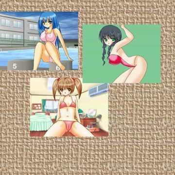 水着ではしゃごうの表紙