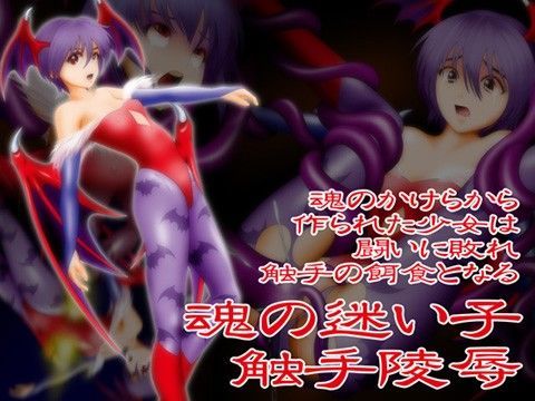 【ヴァンパイア 同人】魂の迷い子触手陵辱