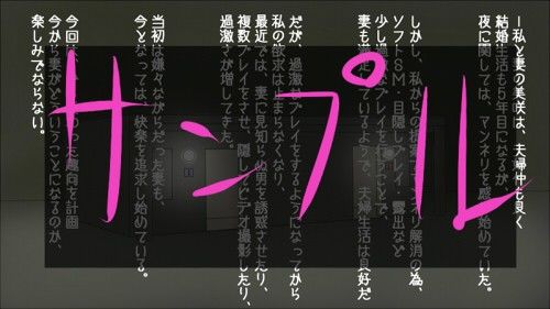 公衆便女 〜深夜の公衆トイレに放置される妻〜1