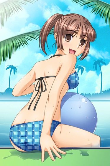 サンプル画像