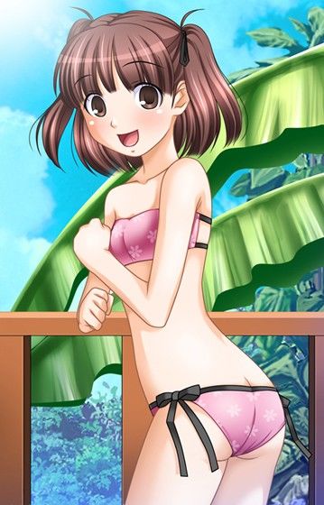 サンプル画像