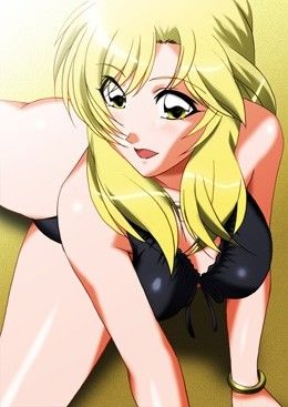 サンプル画像