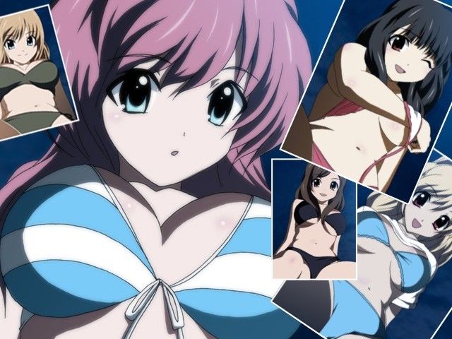 サンプル画像