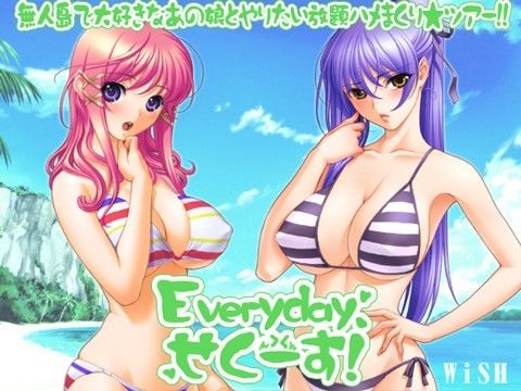 Everyday、せくーす！〜無人島で大好きなあの娘とやりたい放題ハメまくり★ツアー！！(WiSH) - FANZA同人