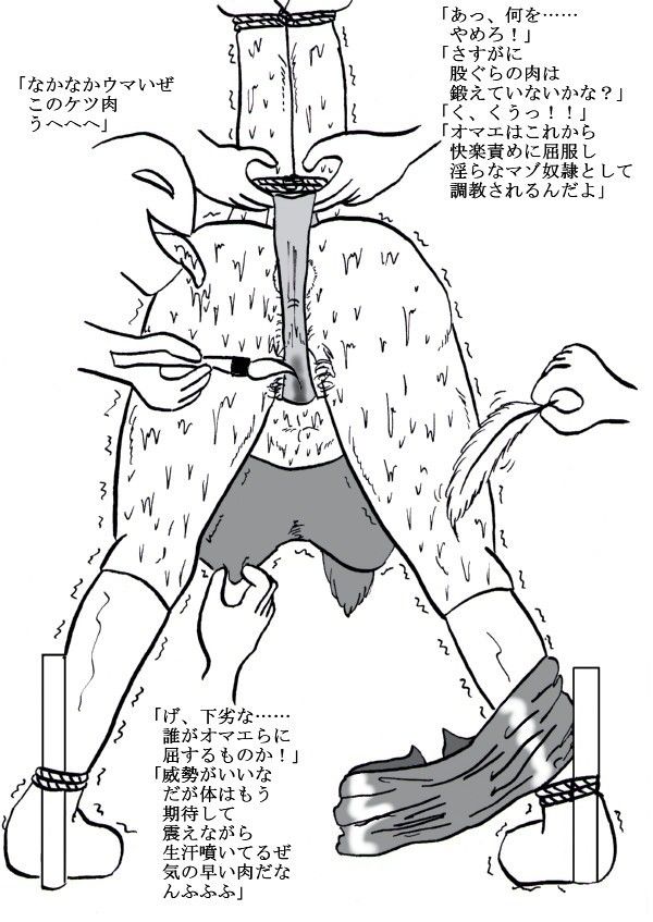 サンプル画像
