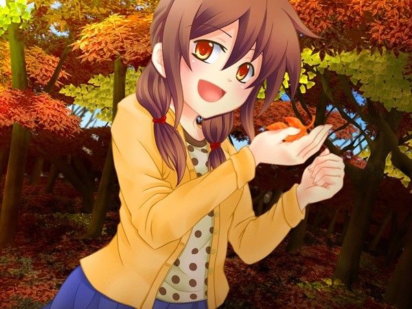 サンプル画像