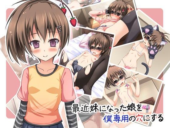 最近妹になった娘を僕専用の穴にする