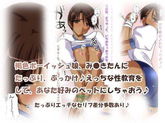 み●きたんに性教育2〜ブルマペットはボーイッシュ褐色娘〜(HANGON)