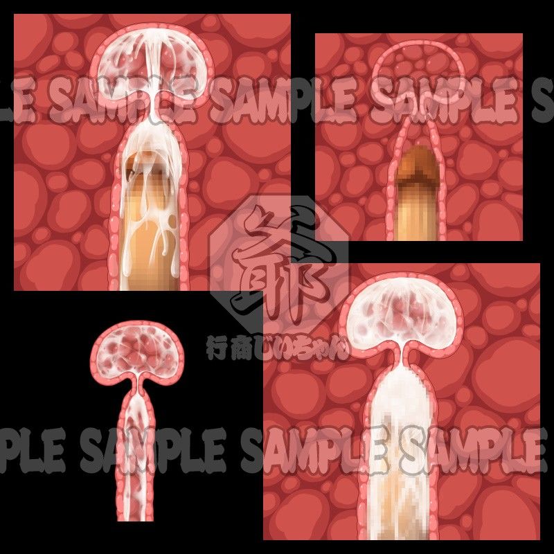 行商じいちゃんの便利素材 断面図・膣内射精2（正面図）1