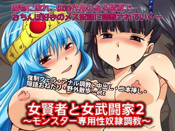 女賢者と女武闘家2〜モンスター専用性奴●調教〜