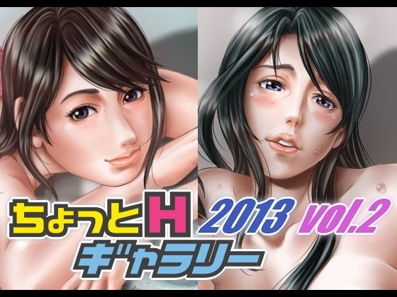 ちょっとHギャラリー 描き下ろしレイヤー付CG集 2013年 Vol.2