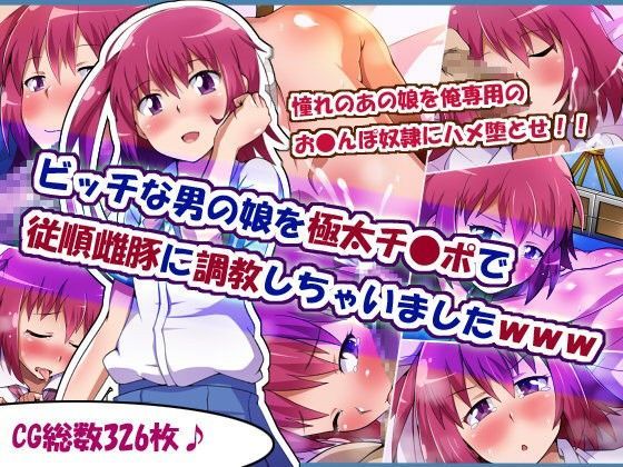 【ポップシップ 同人】ビッチな男の娘を極太チ●ポで従順雌豚に調教しちゃいましたwww