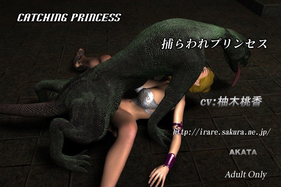 Catching Princess4