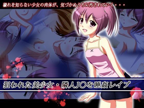 【NamelessZero 同人】狙われた美少女・隣人J○を睡姦レイプ 