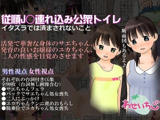 従順●●公衆トイレ イタズラでは済まされないことの画像