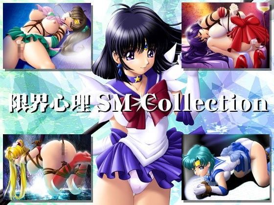 【美少女戦士セーラームーン 同人】限界心理SMCollection