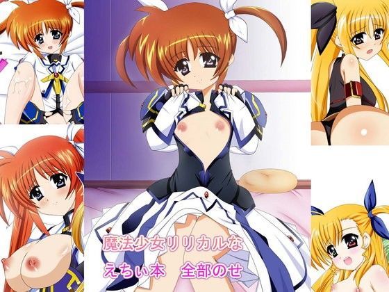 【ねこ屋 同人】魔法少女リリカルなえちぃ本全部のせ
