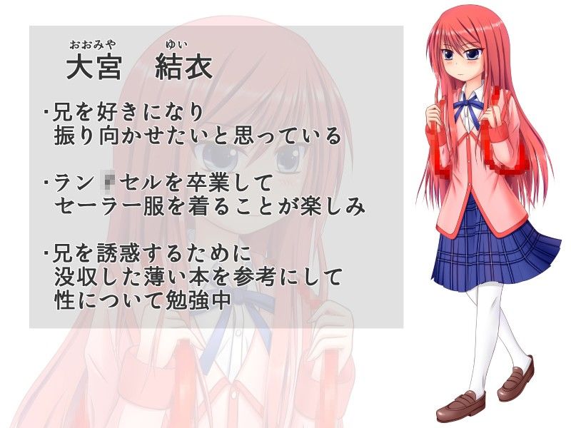 誘惑する妹と誘惑に負ける兄 感謝祭ソフト エロ画像2
