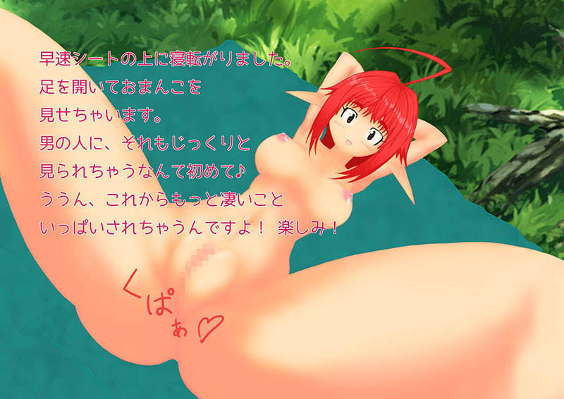 サンプル画像