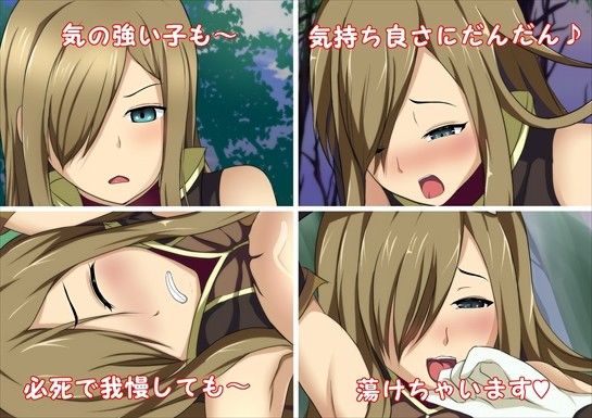 えっちなお願いしてみました2