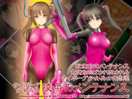 陵辱のメンテナンス...1