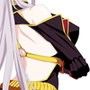 真・淫猥のヴァルキュリア 〜戦女神性交記〜