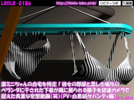 激ミニちゃんの自宅を特定！彼女の部屋と思しき場所のベランダに干された下着が風に揺られる様子を望遠カメラで捉えた貴重な変態動画（笑）（PV:白黒縞々パンティ編）