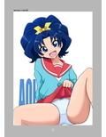 メスしりんだ〜Vol.08 プリキュア楽描き本 たくし上げシリーズ