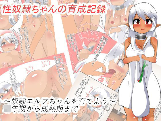 性奴●ちゃんとの育成記録