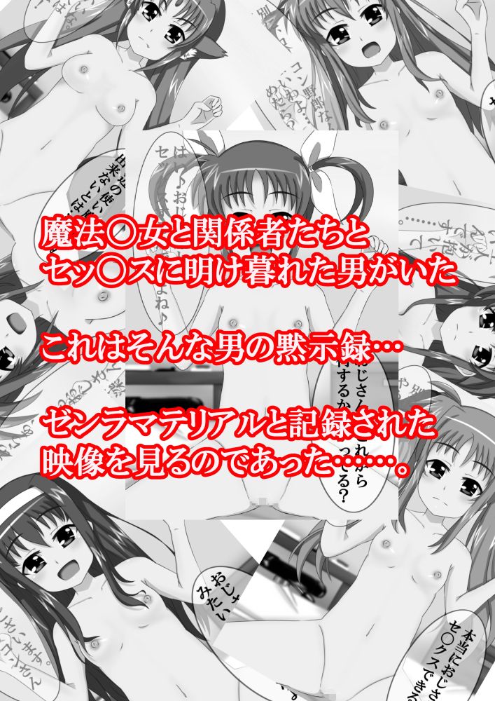 ZENRAmaterial 魔法少女リリカルなのは エロ2