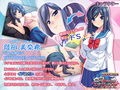 デレツンお姉ちゃんのエッチレッスン〜イジメちゃうのは、愛してるからなんだよ？〜 PLAY MOVIE