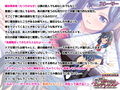 デレツンお姉ちゃんのエッチレッスン〜イジメちゃうのは、愛してるからなんだよ？〜 PLAY MOVIE