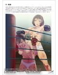 2018年秋・女子格闘シリーズ新刊セット（『戦意喪失のある風景』・『続バイブ式格闘術』）