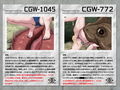丸呑み生物 実験レポート