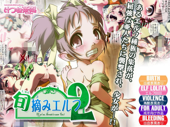 旬摘みエルフ 第2章[けつね茶処]