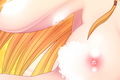 プリンセスイラスト集-FANZA-