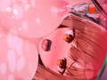 機械姦イラスト集3