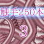 触手250本3