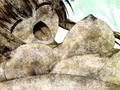 石化イラスト集7