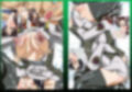 ARMY GIRLS EROTICA sideGseed