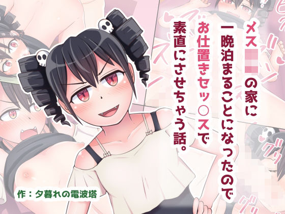 メス○キの家に一晩泊まることになったのでお仕置きセッ○スで素直にさせちゃう話。