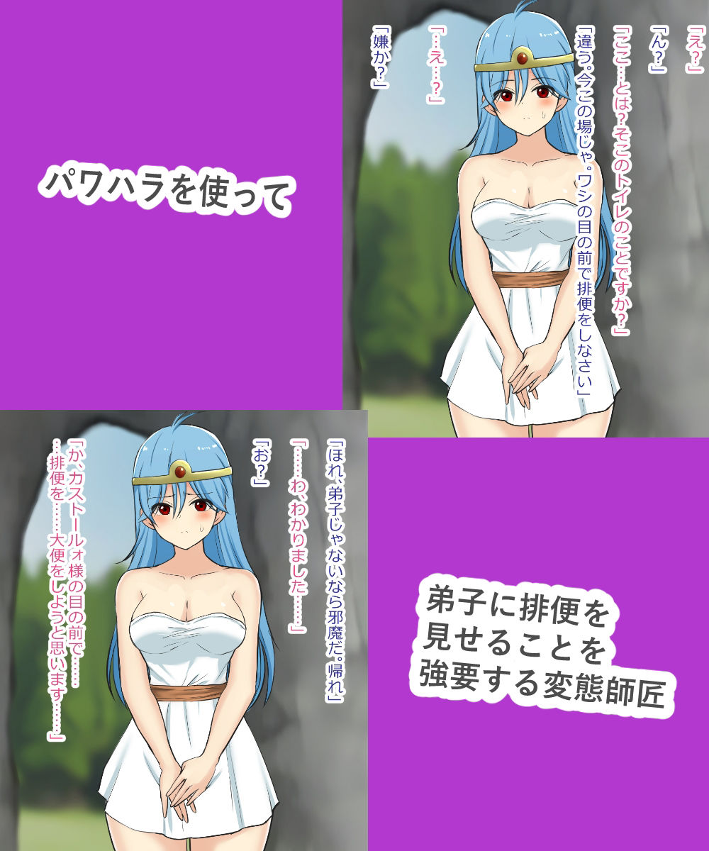 DQ3女賢者ちゃんが見習い時代にしていたド変態スカトロ修行 画像2