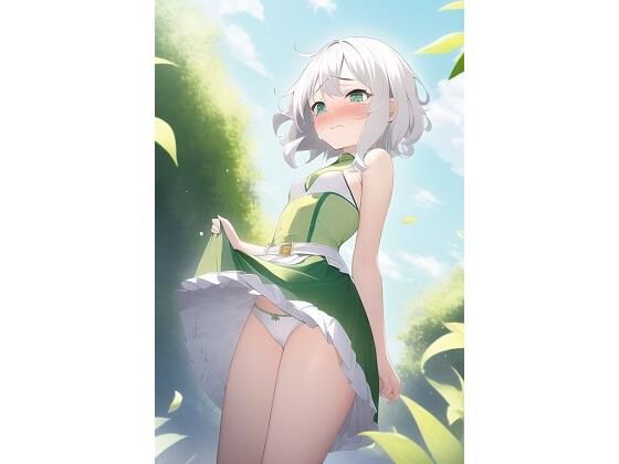 【ぽぽんたgi 同人】コッコ○パンチラ＋αイラスト集 