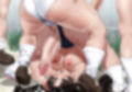 ふたなり解放区 乱痴気運動会