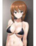 「健全な」西住みほ 画像2