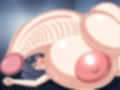 人間品種改良・異常遺伝子発現